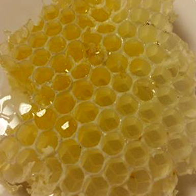 Honeycomb Harvest